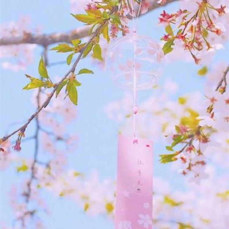 落合扶树（饰 水岛） - 无广告纯净版在线观看 - 网络追剧